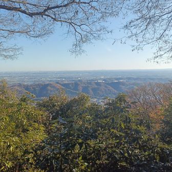 東京、横浜方面