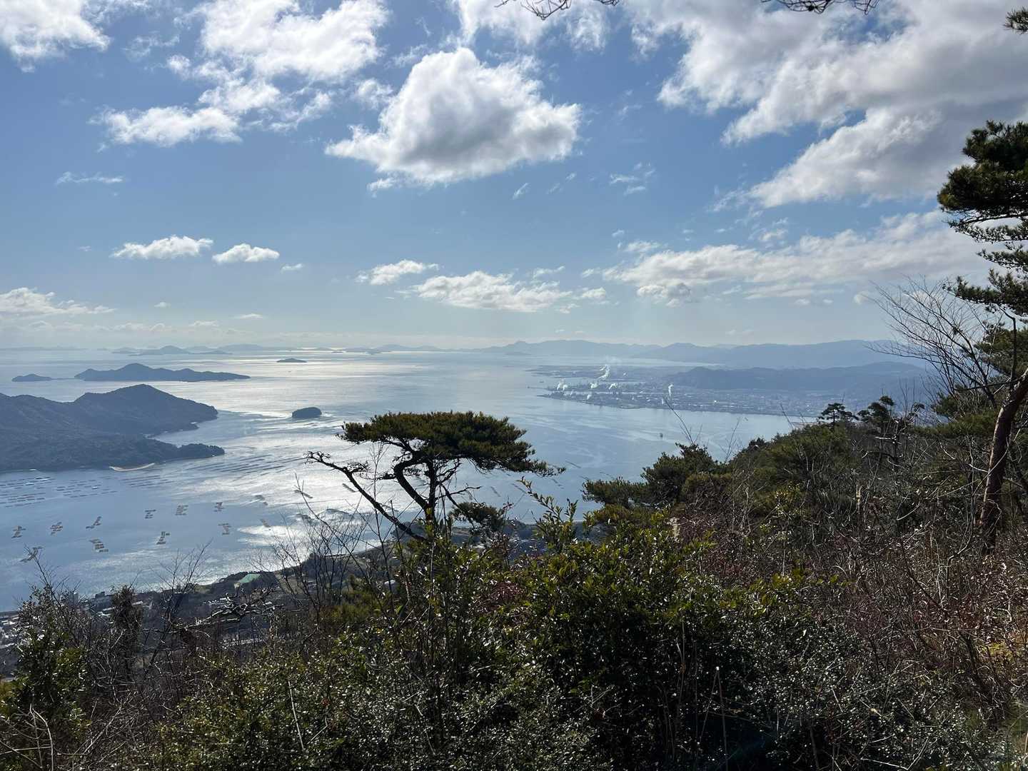 📸④