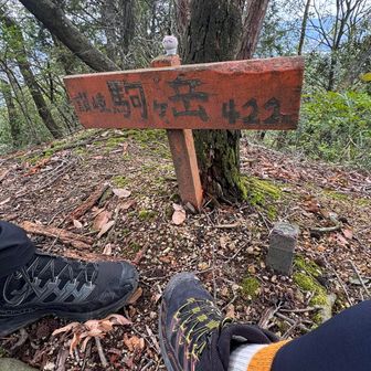 猫山山頂から讃岐駒ヶ岳に向かう降りはエグい💦