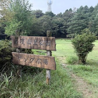 ヤング広場だと…😤