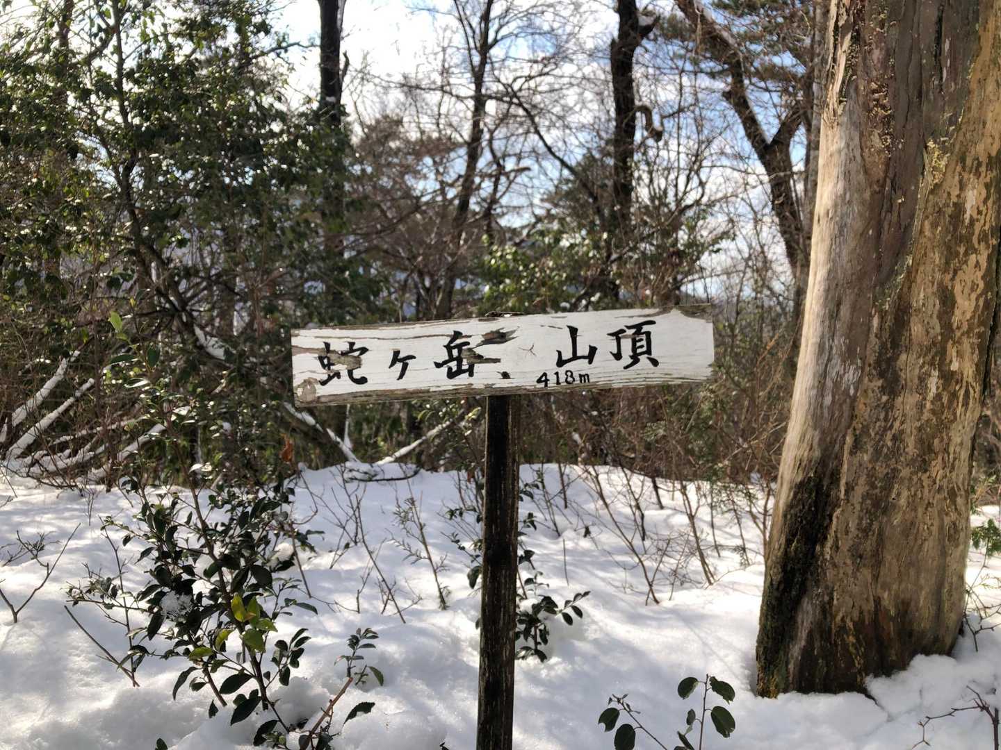 山頂、木であまり周りの景色は見えない