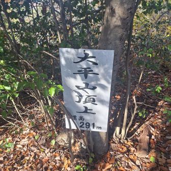 大平山山頂
ここまでもきつかった