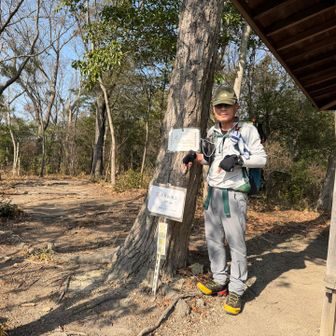 15：大日山
ちょうどお昼前とあって、3グループくらいが休憩中。賑やかだ