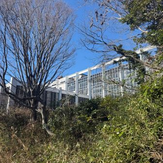 野村総研の跡。