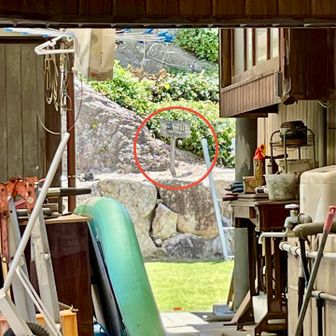 これが自分のスマホで精一杯の拡大写真
「城山 広島県最低峰11m」と書いてあります
山頂には行けませんでしたが、ピークが取れたので良し❗️👌