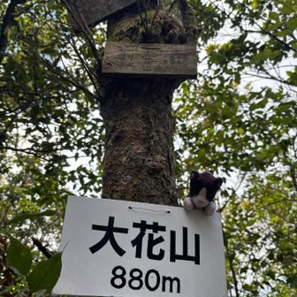 おおはなやま登頂！