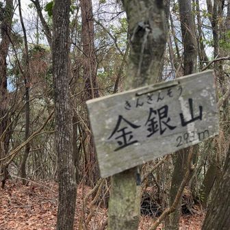 山頂は展望なし