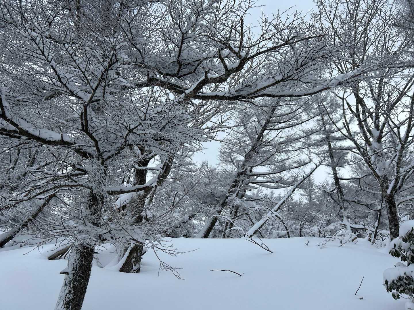 掛けまわりたい❣️