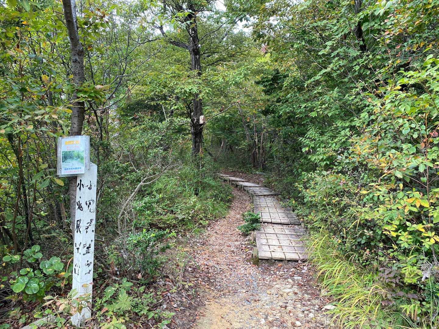 小鬼から木道