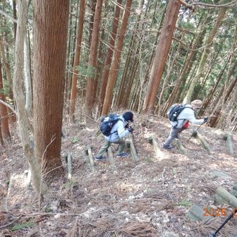 楽しんでいるね