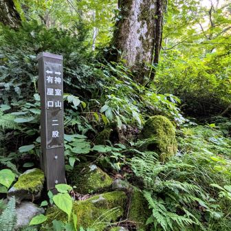 渡った先に二股。
ここから750mの登りとなる。