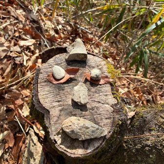 二上山（雄岳）・二上山（雌岳） / まーくんさんの金剛山・二上山