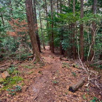 なだらかな道を進む