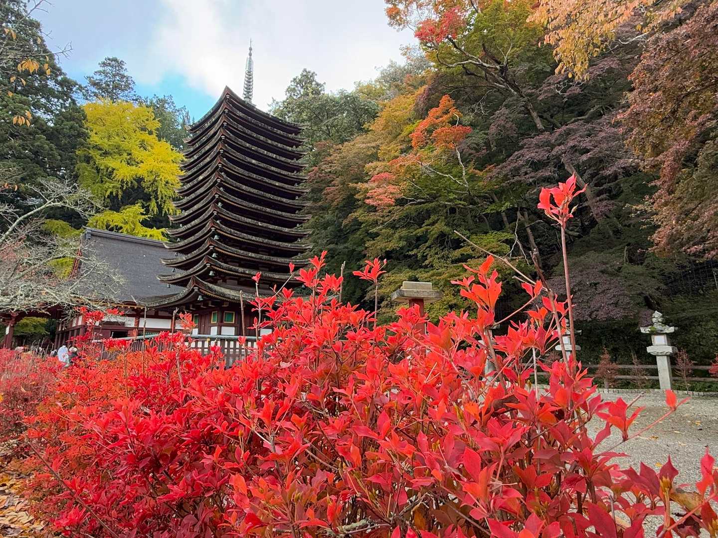 良い感じですね🍁