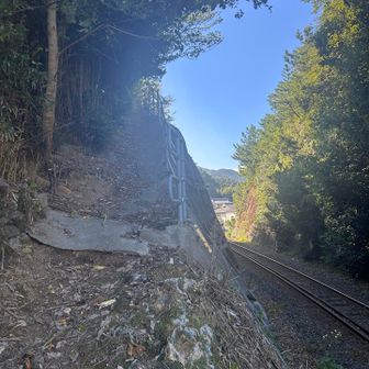 予讃線線路横から山に入っていく