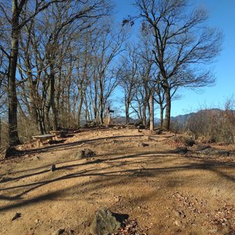 山頂は広く、絶好の休憩ポイントです。