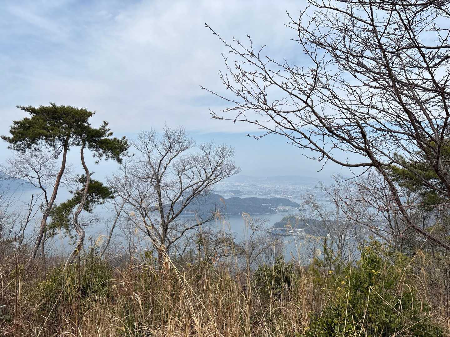 小屋浦駅-西谷遊歩道入口-天狗岩-せんこう頭部-頭部ルート 縦走コースの写真