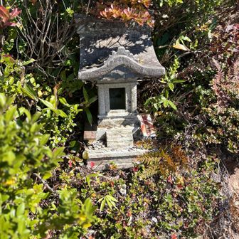 本名御神楽岳の山頂直下に石祠がありました⛩️
お札に伊邪那岐命（イザナギノミコト）と書いてありました