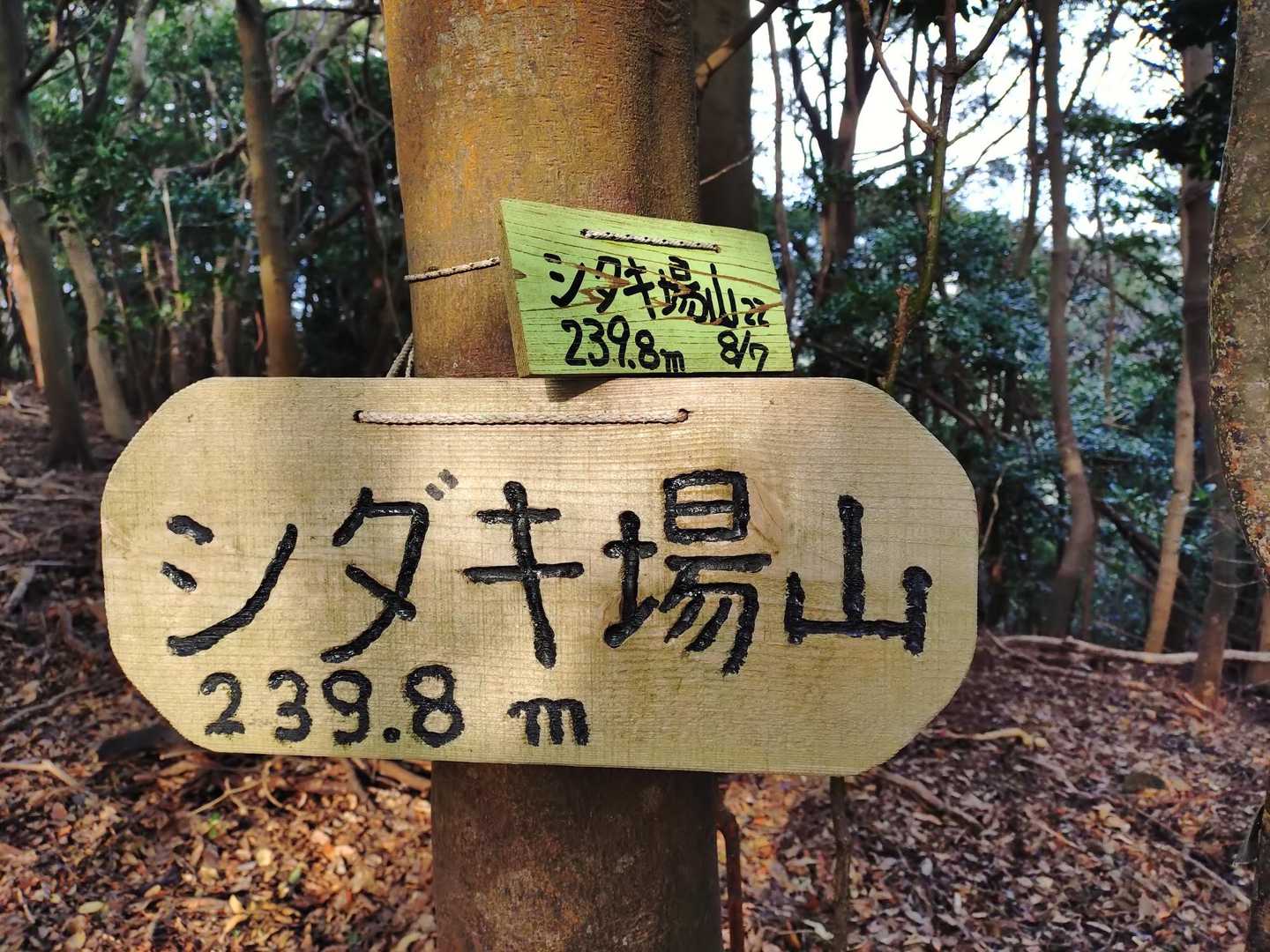 影山から30分
シダキ場頂きました!
