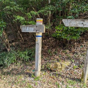 小爪峠登り口
直ぐ横に車2台ほどの駐車スペース有。途中の林道脇にも駐車スペース有。
