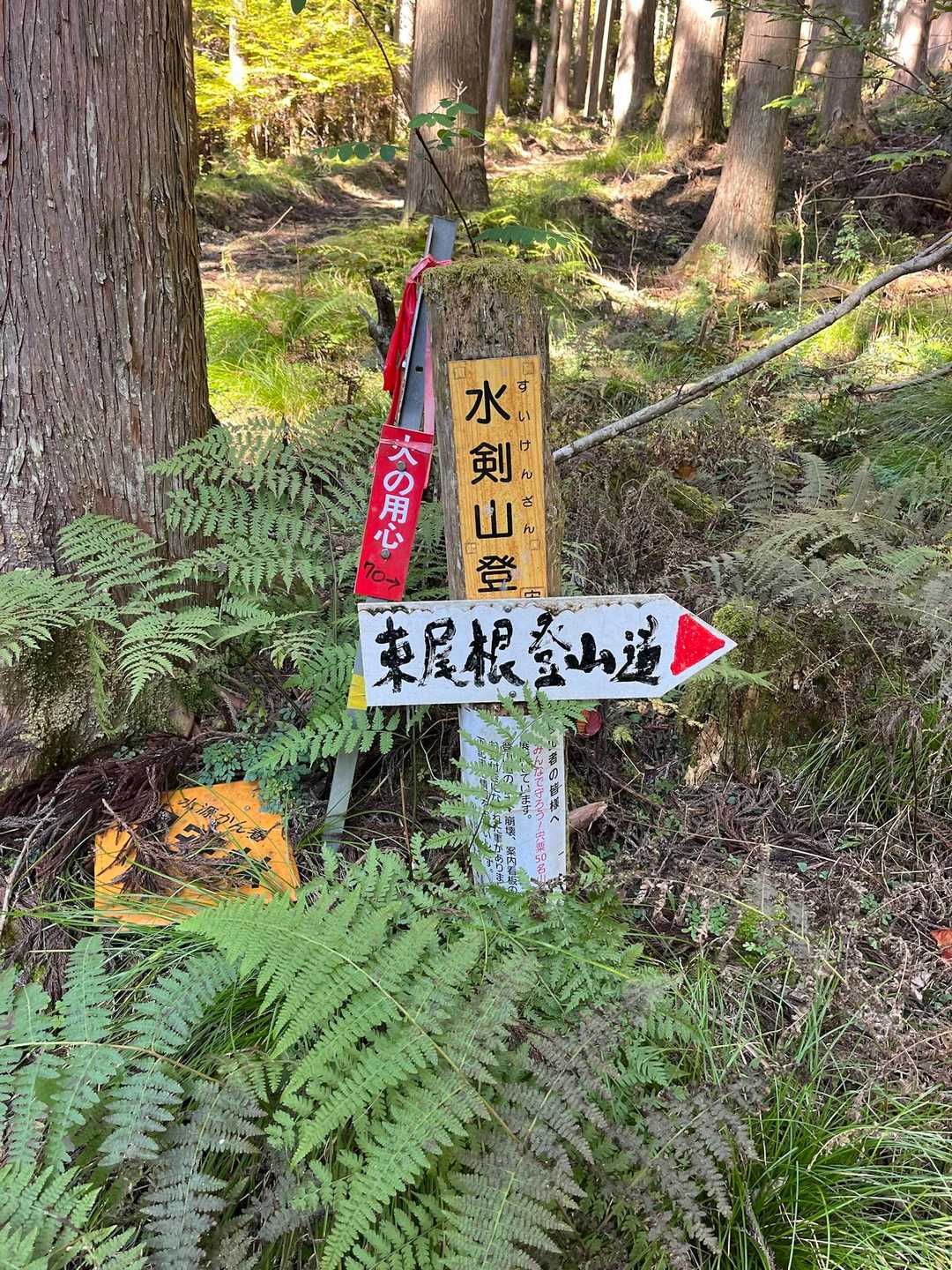 無事下山🫡