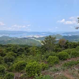 眺望👍涼しい風が心地よい✨