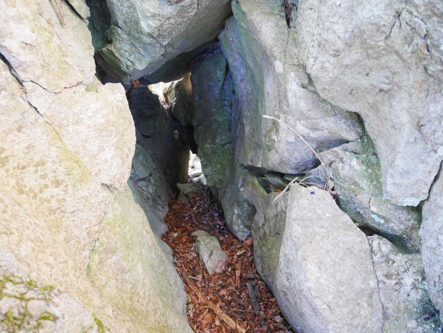 これは抜けられない