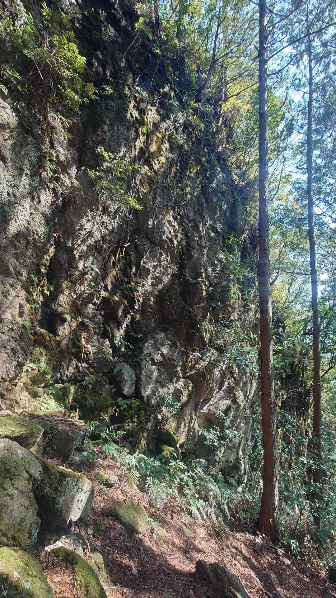 見上げる岩壁