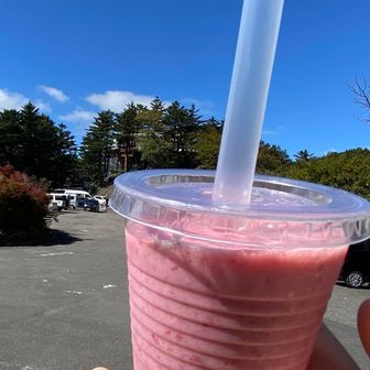 何年か越しの念願の土小屋のいちごシェイク🍓
2登するので2杯いってやろうと思ってたものの、お値段1杯¥800💦
2杯だと…頭の中のスーパーコンピューターが瞬時に計算して1,600円と弾き出す！
財務大臣と胃袋担当大臣を呼び出し緊急閣議を開催🤨
協議の結果2杯目は見送られる事に…