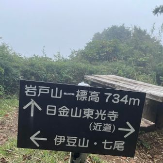 岩戸山に到着