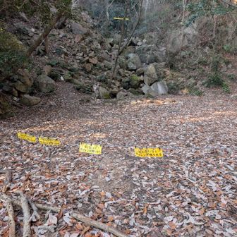 針金ロープをくぐり抜け左側から登る