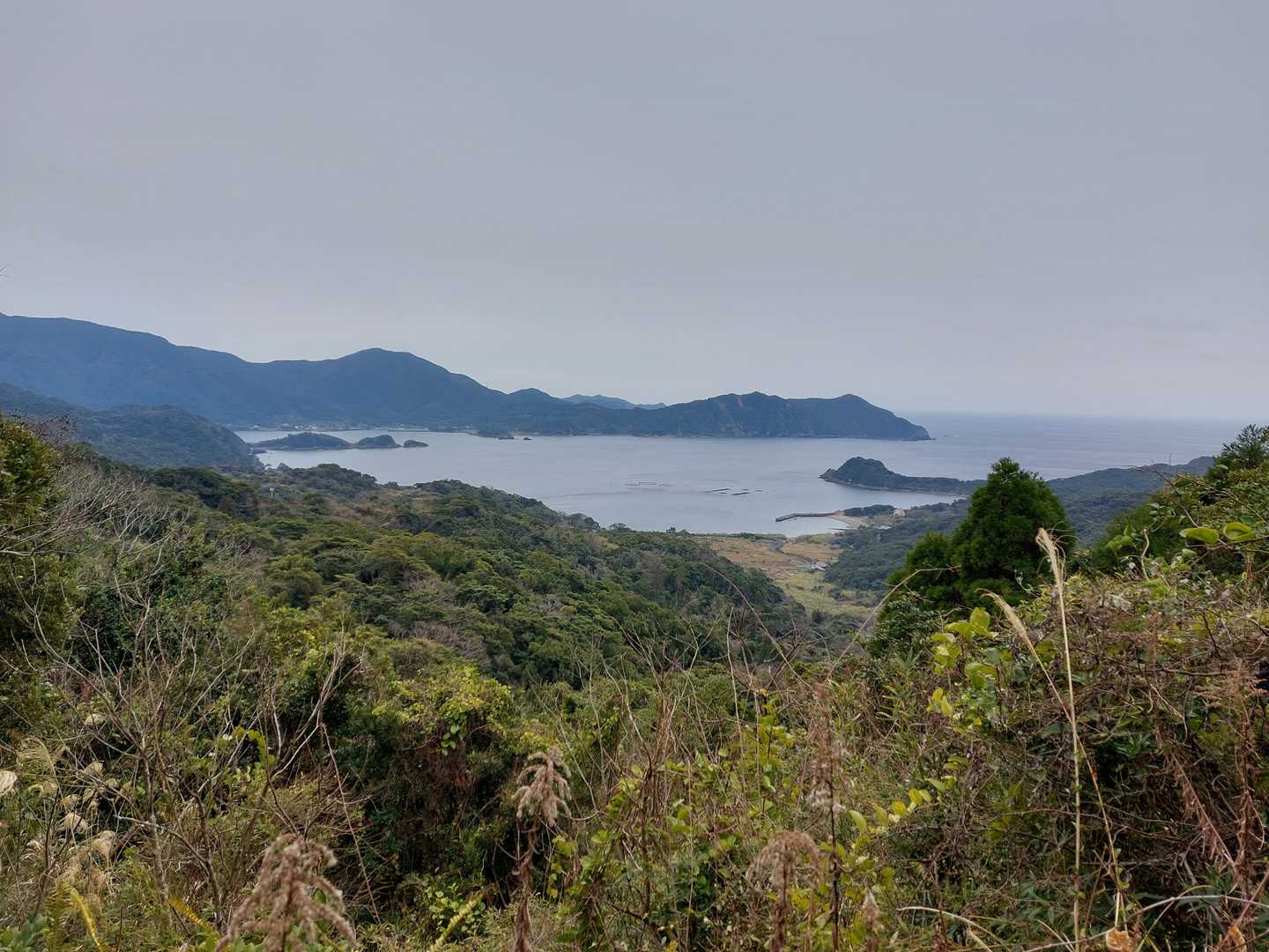 路傍の風景も美しい。
もしかしたら木を払われたのでしょうか？