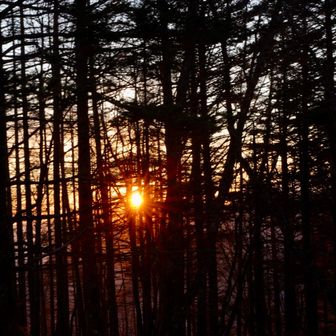 反対側には太陽