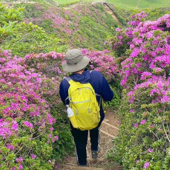 まりちゃん@山登り1年生