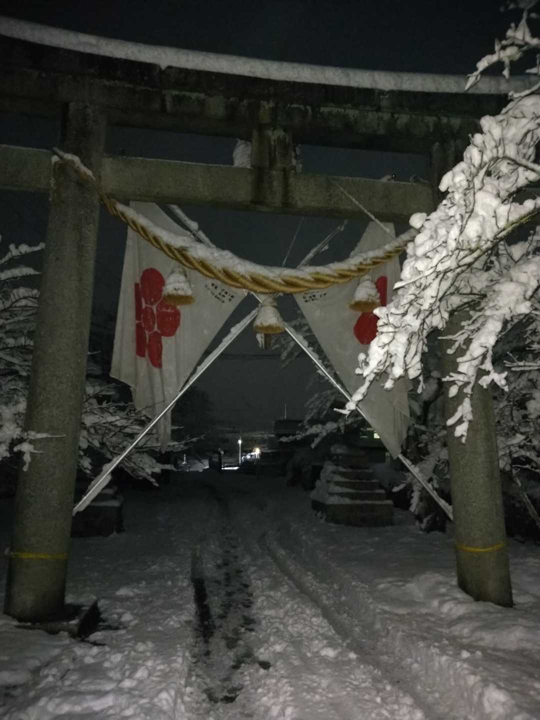 猪子山 往復コースの写真