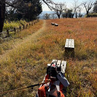 先々週は息も絶え絶えで通ったんだよね