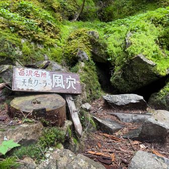 岳沢ー登山口の1時間半がめちゃ長かった、疲労困憊もあり。。。
前後のハイカーさんもお疲れ模様で、みんな無言で黙々と下る。
途中このクーラーで癒された、ほんとに冷たかったー。