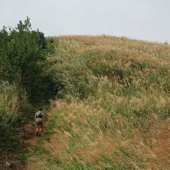 それから生石山山頂へ最後の登り