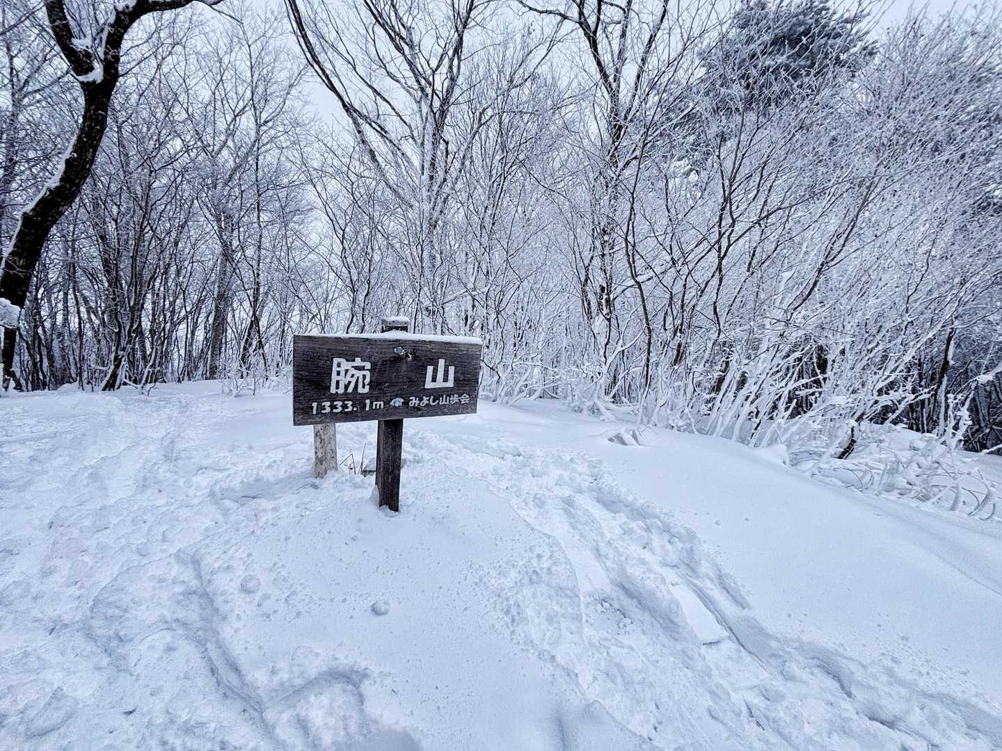 登頂！
雪質パウダー