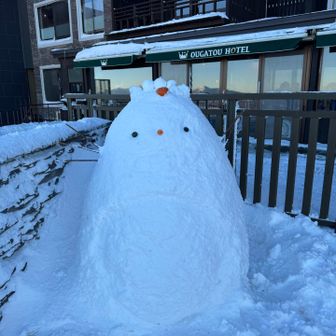 なんだろこれは