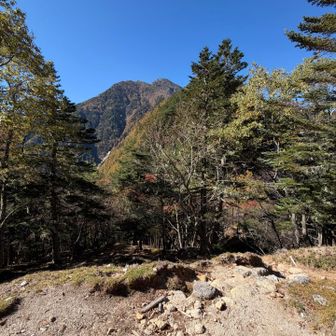 黒戸山からコルに向けての下り