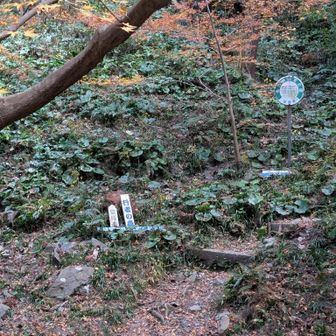 ここから登山口