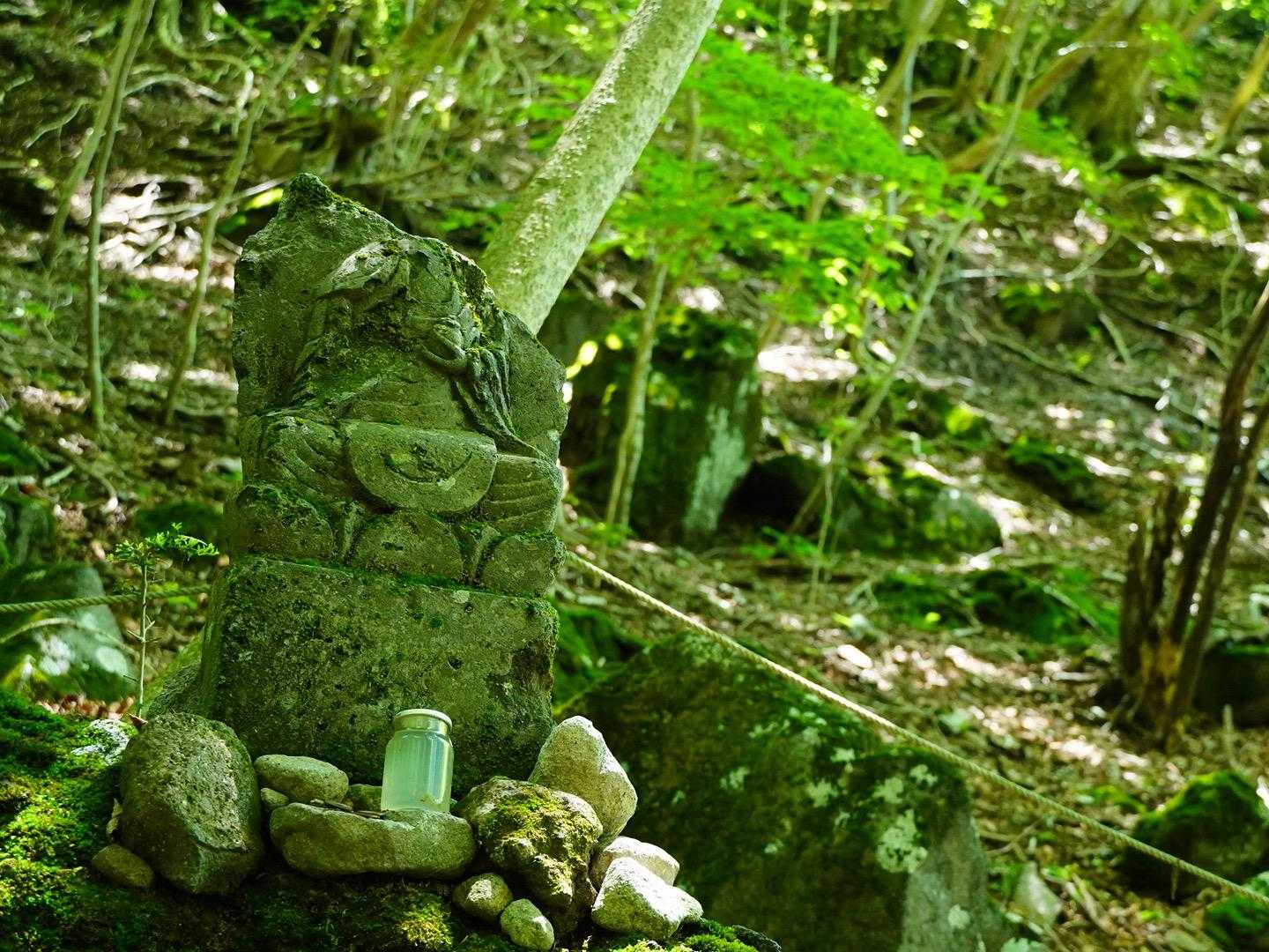 また来ますね〜✨
