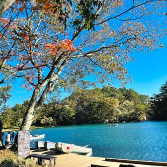 ボートも乗れるんですね🚣
今日はぼっちやしな… 見送ります