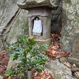 釈迦如来様

花筒にお水を足しました。😊