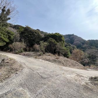 分岐道
左が嵯峨山方面
右がスイセンピーク方面