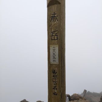 やっと着きました😘
距離と標高で甘く考えてきましたが久々のガチ登山⛰️でした。