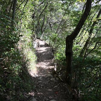 下山、内環状線、