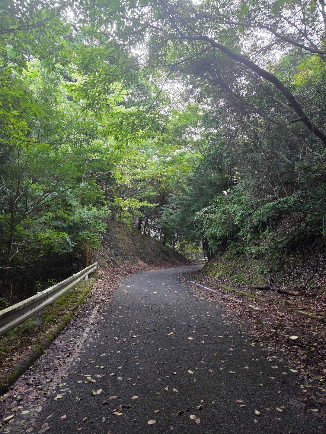 登山口まで車道を歩きます