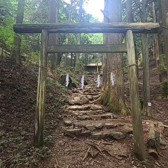 大岳山頂まで、あと少しだけど
ここで昼飯にして引き返すことに
しました
滝本駅で声かけてくれたおふたり👩‍❤️‍👨が、
ここで追いついた👏👏👏